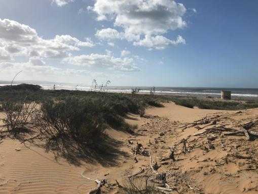 Beau terrain ,1 HA front de mer en zone urbaine