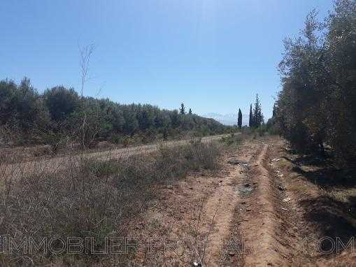 Vente Terrain Marrakech