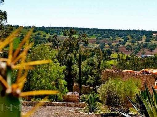 Maison de campagne à seulement 15 Kms d'Essaouira