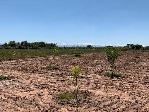 Magnifique terrain a construire proche ville