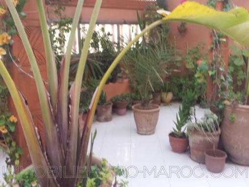 Appartement 3éme, meublé avec terrasse attenante