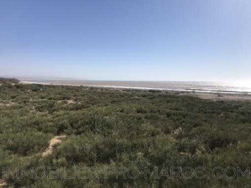 Exceptionnel emplacement pour ce terrain vue mer