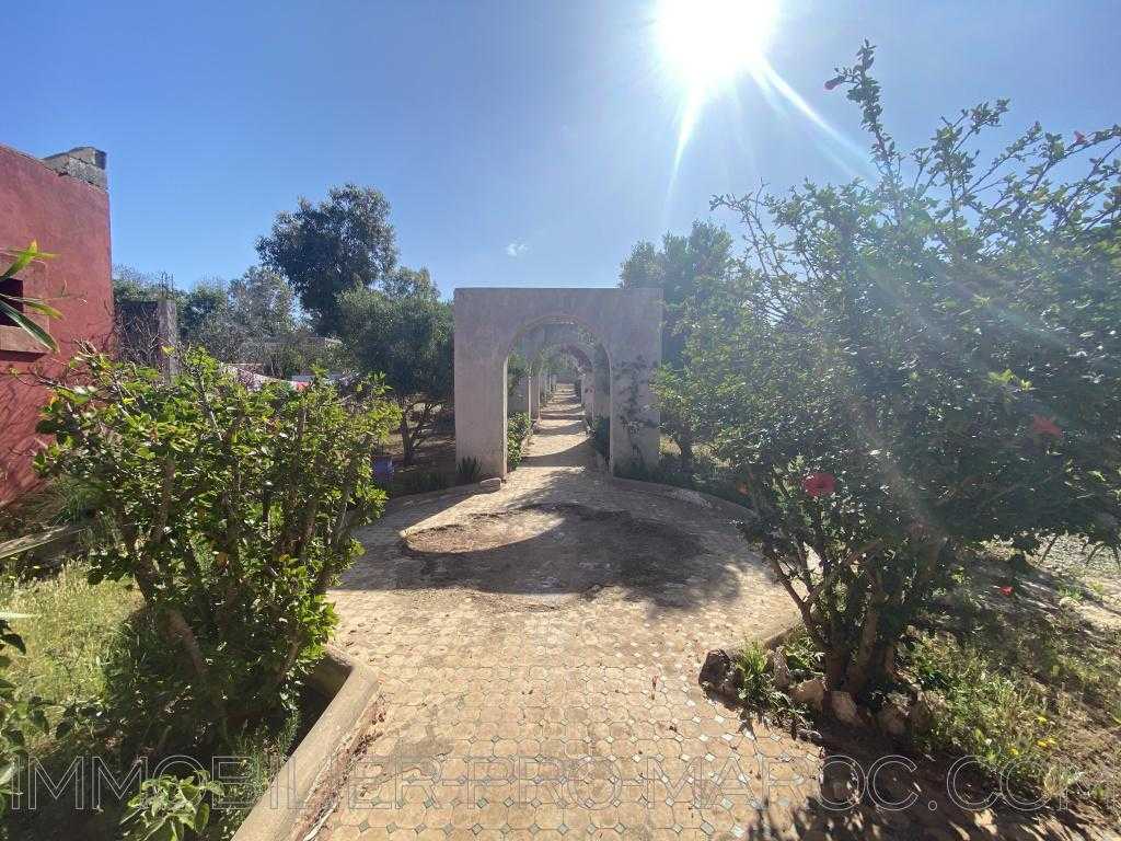 Maison d'hôtes Ville Essaouira