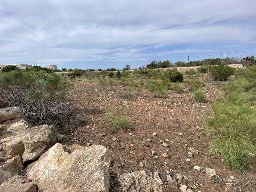 Vente Terrain
