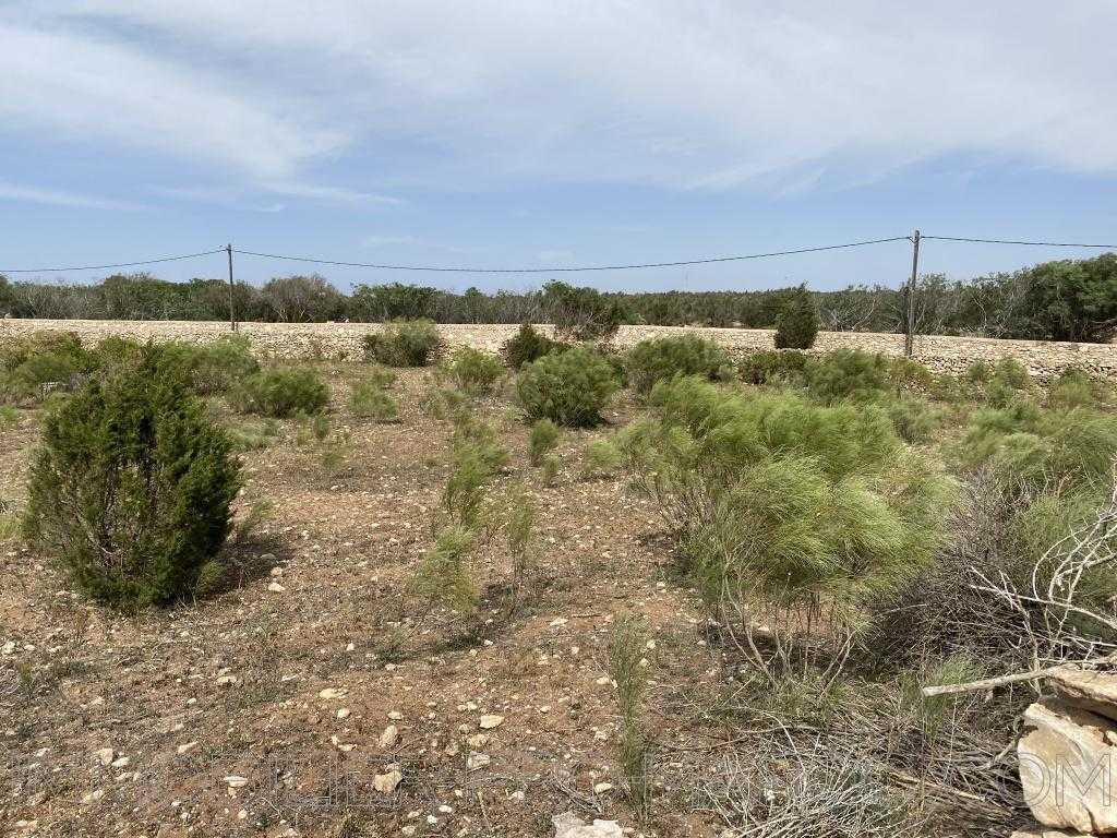 Terrain todo