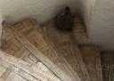 Riad todo