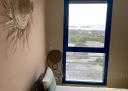 Appartement Niveaux 3
