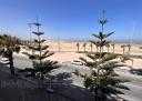 Appartement en Vente
