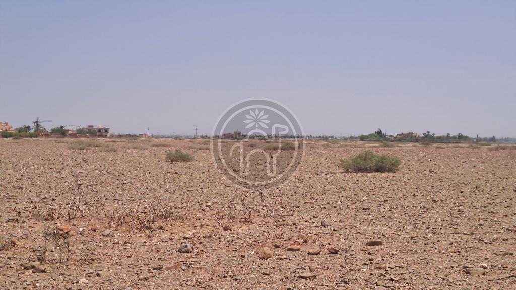 Terrain de un hectare 145dhs/m2