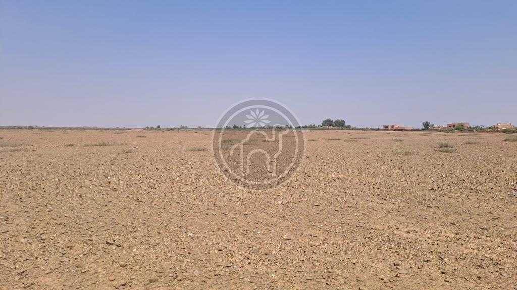 Terrain de un hectare 145dhs/m2