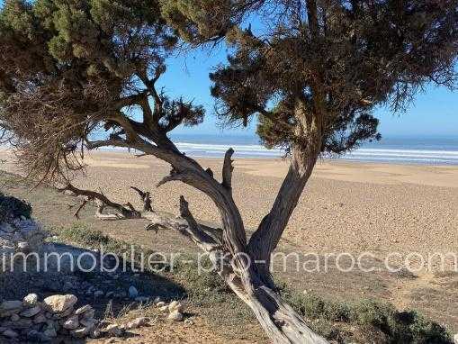 Vente Terrain Essaouira