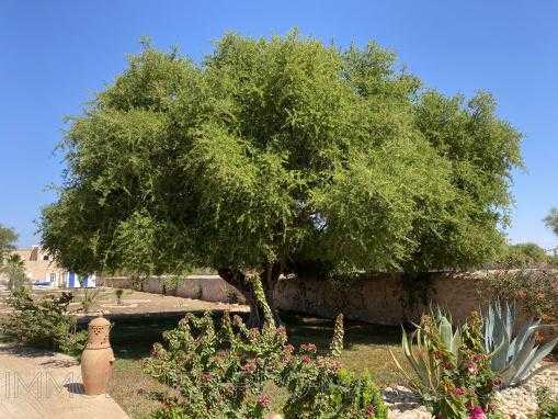 Vente Villa