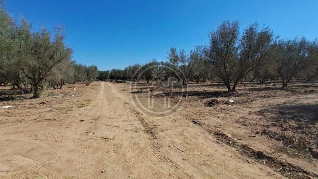 Lot de 3 terrains km 8