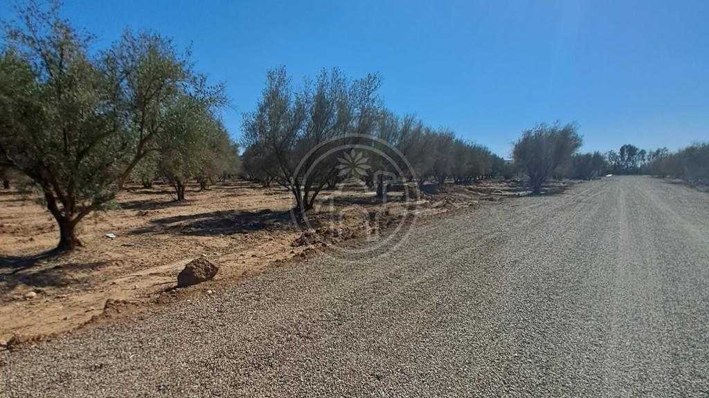 Lot de 3 terrains km 8