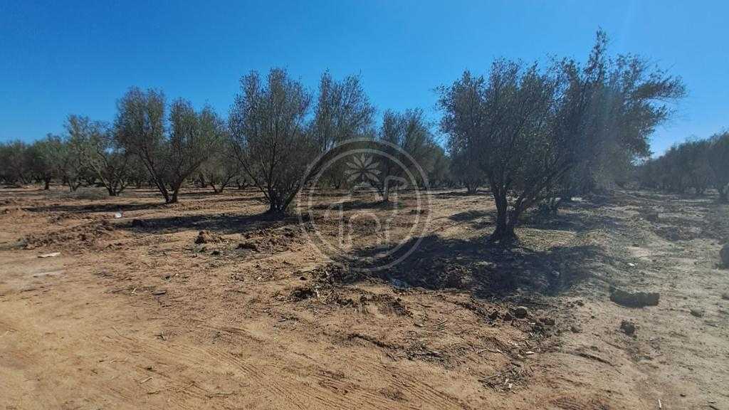 Lot de 3 terrains km 8