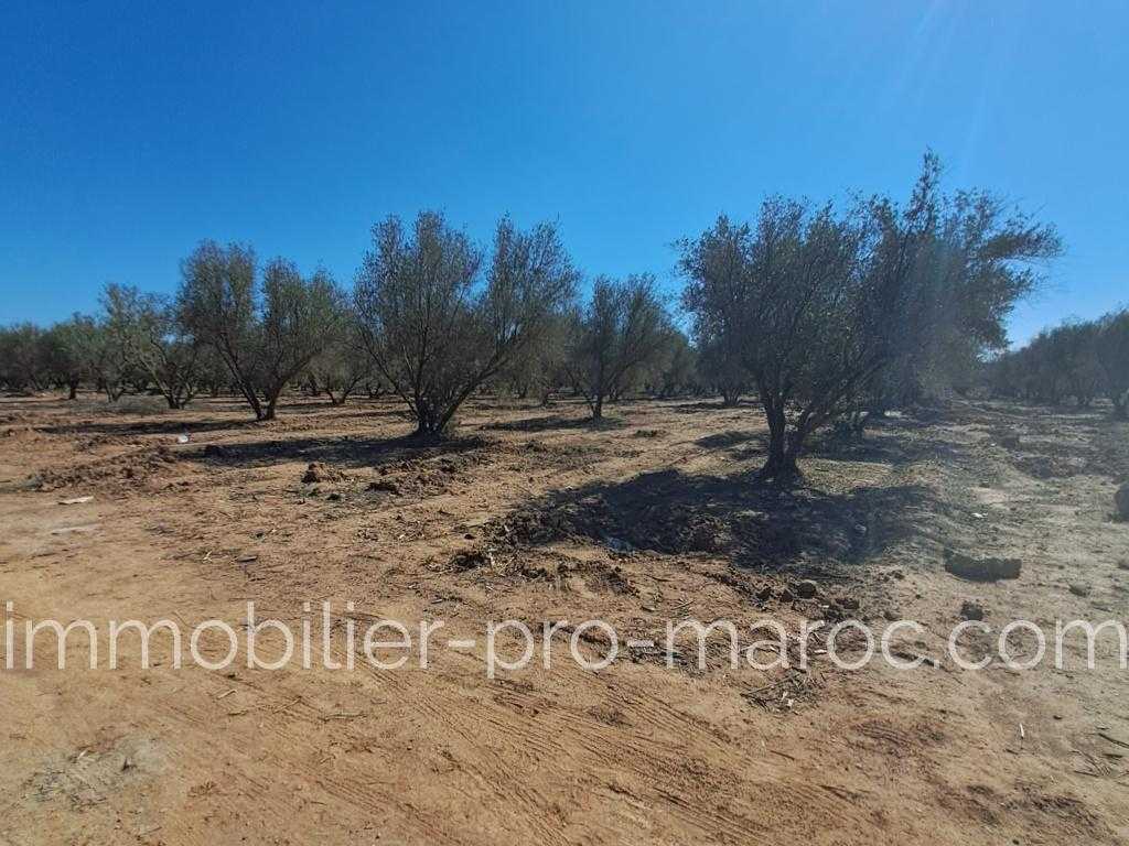 Terrain en Vente à Marrakech