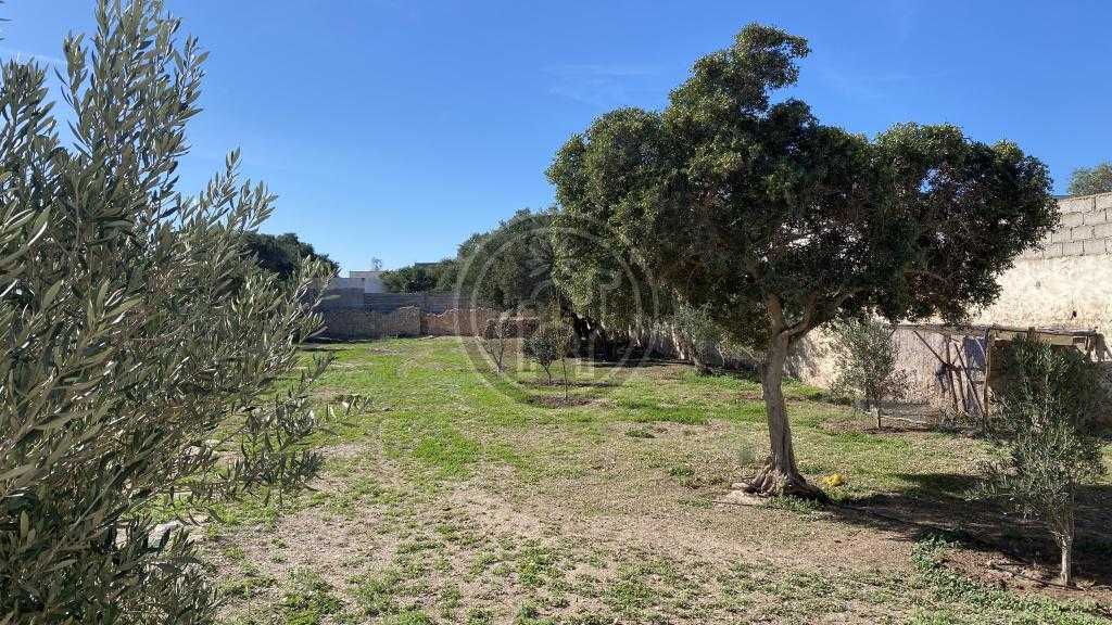Maison beldy 3 ch sur 2000m2
