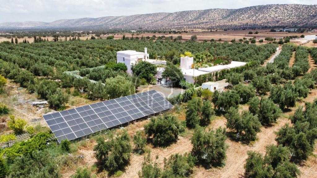 FERME de 9,3Hectares avec maison de 160m² habitable, située à 35 Kms d\'Essaouira