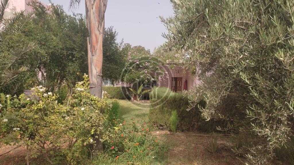FERME de 9,3Hectares avec maison de 160m² habitable, située à 35 Kms d\'Essaouira