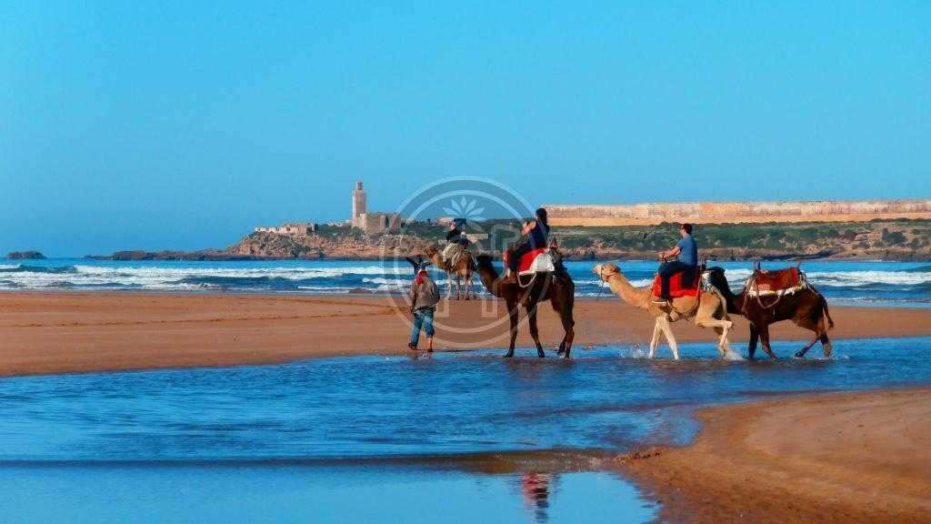 HÖTEL vue mer proche de la Medina d\'Essaouira