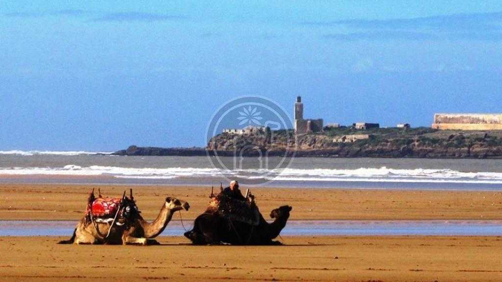 HÖTEL vue mer proche de la Medina d\'Essaouira