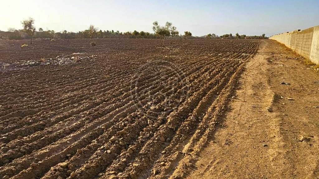 Superbe terrain de 4h a 20mn du centre de Marrakech