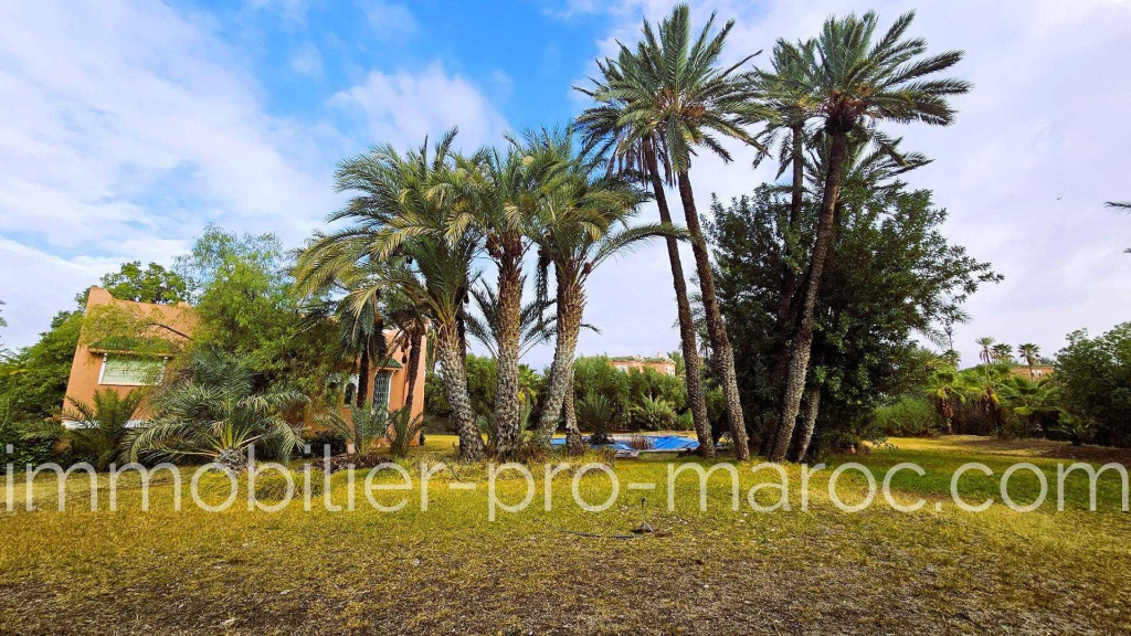 Villa dans la Palmeraie, piscine, parc arbore, a quelques pas du golf.