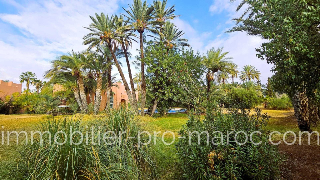 Villa dans la Palmeraie, piscine, parc arbore, a quelques pas du golf.
