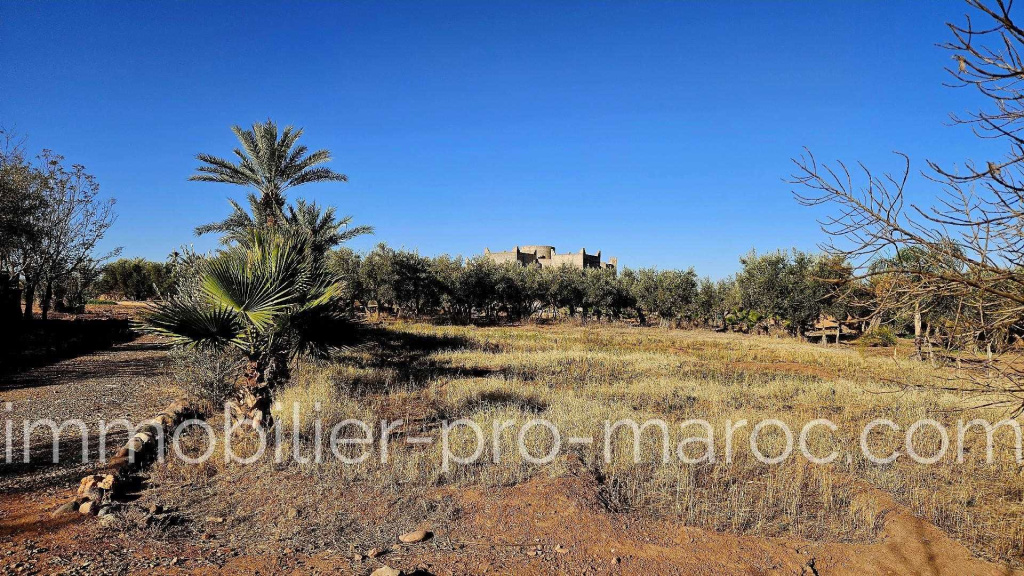 Villa Semi-Finie sur grand terrain.