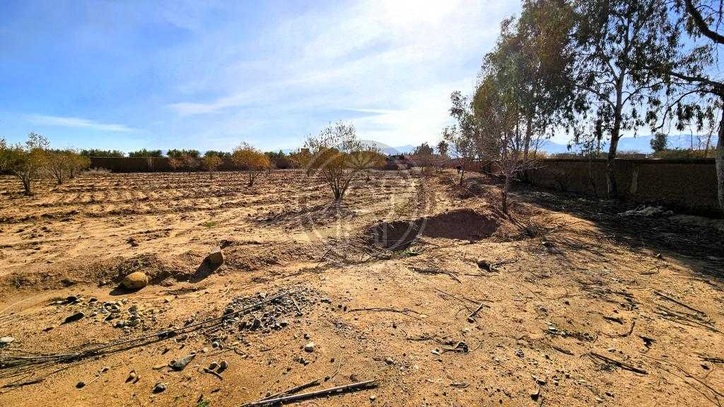 Joli terrain a 26kms de Marrakech, mure et titre.