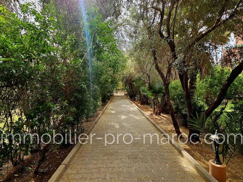 Appartement en Vente