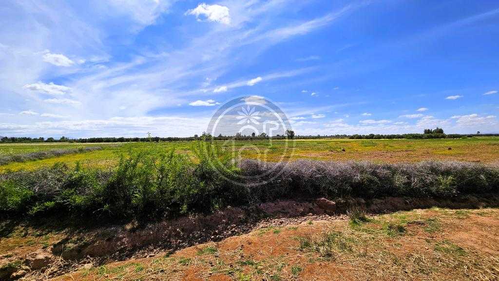 Terrain a vendre en plaine, a la campagne.