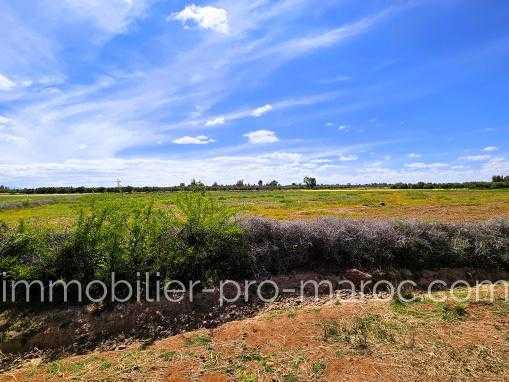 Vente Terrain