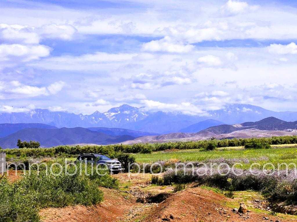 Terrain en Vente