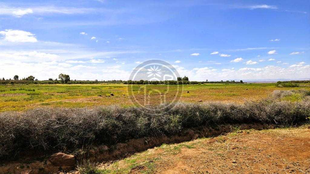 Terrain a vendre en plaine, a la campagne.