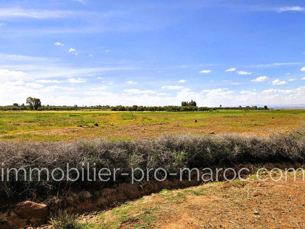 Terrain en Vente à Marrakech