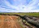 Terrain todo