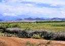 Terrain Etat A construire