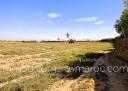 Terrain Distance de la ville 15 km