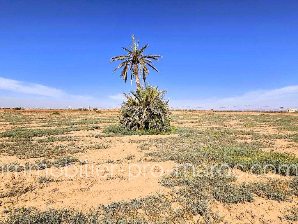 Terrain en Vente