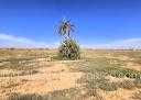 Terrain en Vente