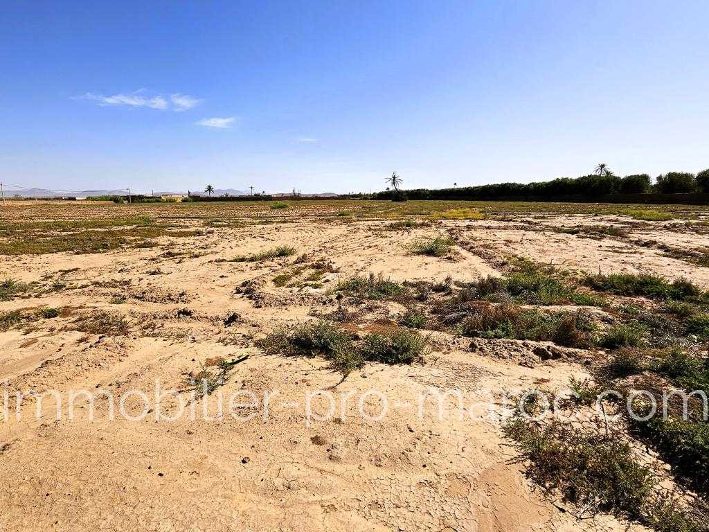 Terrain en Vente