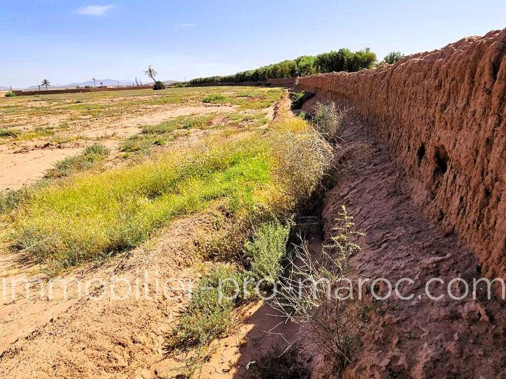 Terrain Surface du Terrain 30 392 m²