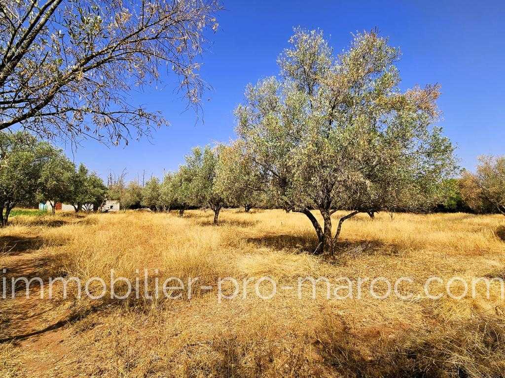 Terrain en Vente