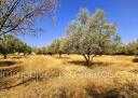 Terrain en Vente