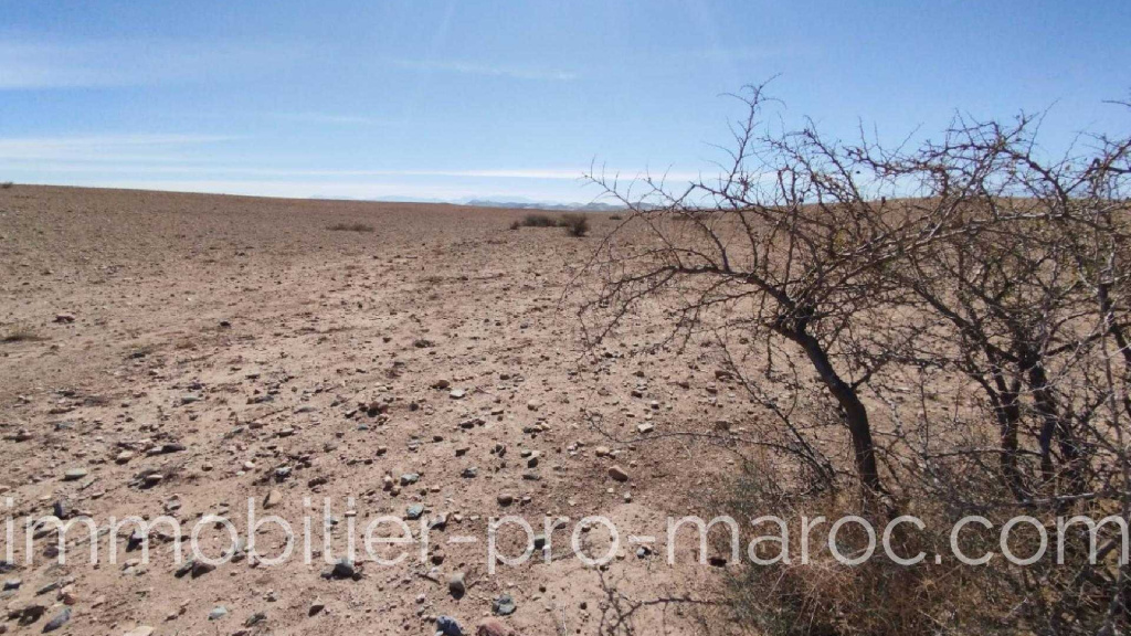 Terrain 28H titre a 40mn de Marrakech