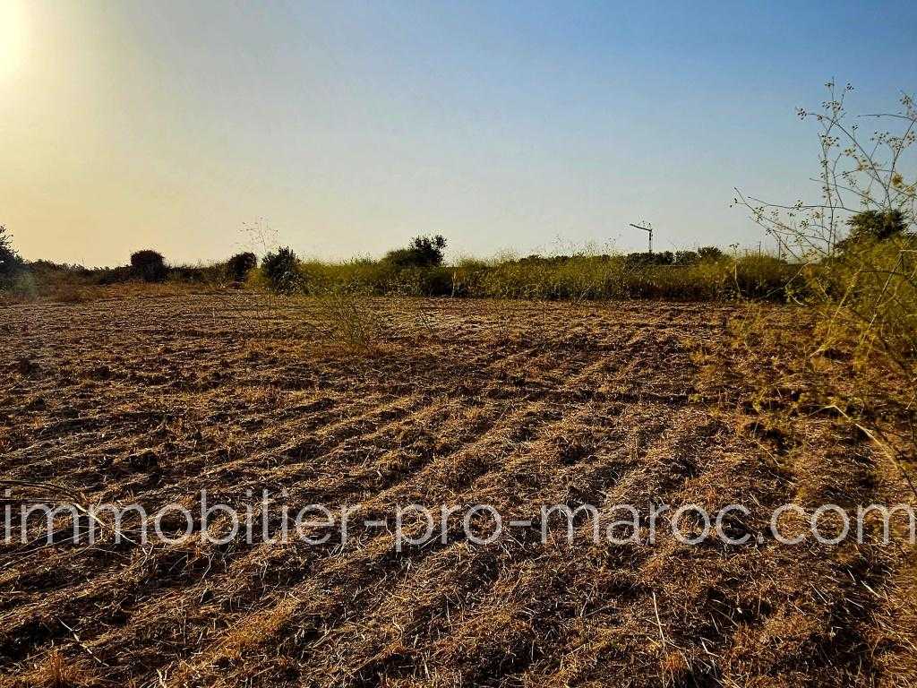 Terrain en Vente à Marrakech