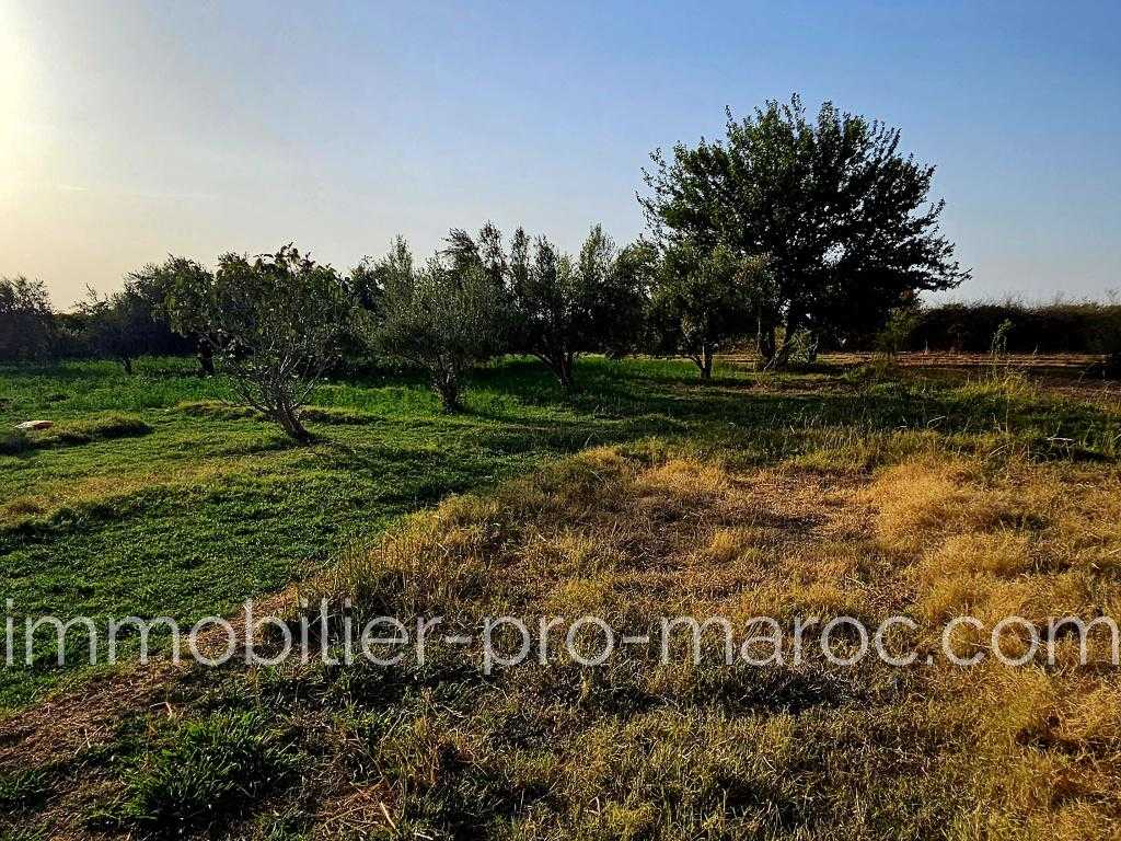 Terrain todo