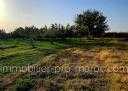 Terrain todo