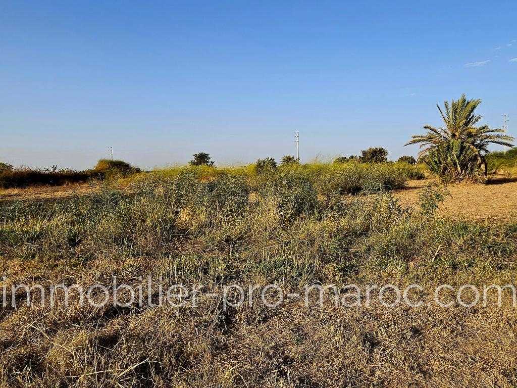 Terrain Etat A construire